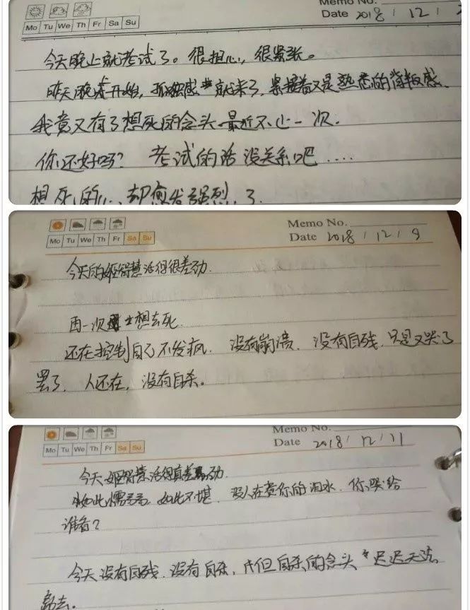 拼图.jpg